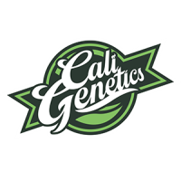 Cali Genetics