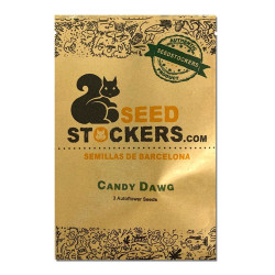 Candy Dawg auto autofem (SdSt)