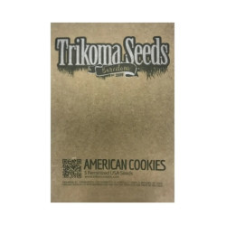American Cookies fem (USA _TrkS)