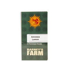 Amnesia Lemon fem (Brn)