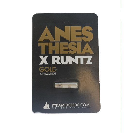 Anesthesia x Runtz fem (Py)