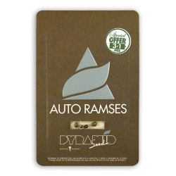 Auto Ramses autofem (Py)