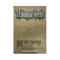 Auto The Palmar autofem (TrkS)