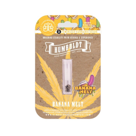 Banana Melt Fem (HmbSC) NEW 2025