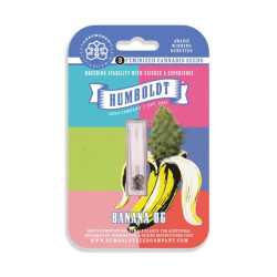 Banana OG Fem (HmbSC) NEW 2025