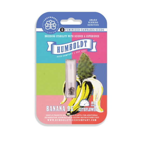 Banana OG auto autofem (HmbSCo)