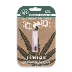 Bigfoot Glue fem (HmbSCo)