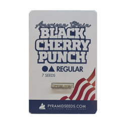 Black Cherry Punch reg (Py)