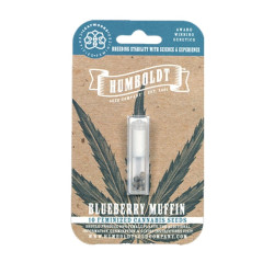 Blueberry Muffin fem (HmbSCo)
