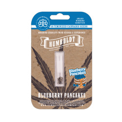 Blueberry Pancakes Fem (HmbSC)