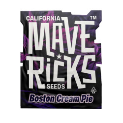 Boston Cream Pie fem (Mvr)