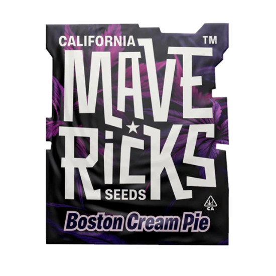 Boston Cream Pie fem (Mvr)
