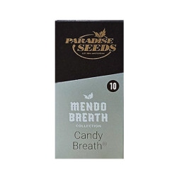 Candy Breath fem (P)