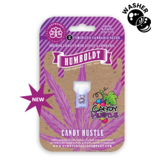 Candy Hustle fem (HmbSCo)