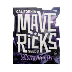 Cherry Runtz fem (Mvr)