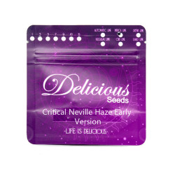 Critical Neville Haze Early Version (DelC)
