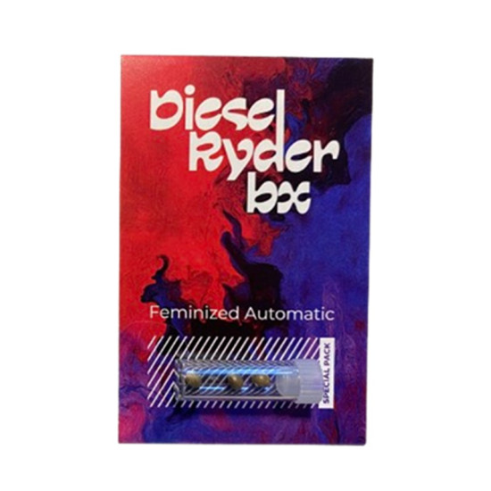 Diesel Ryder BX autofem (DctCh)