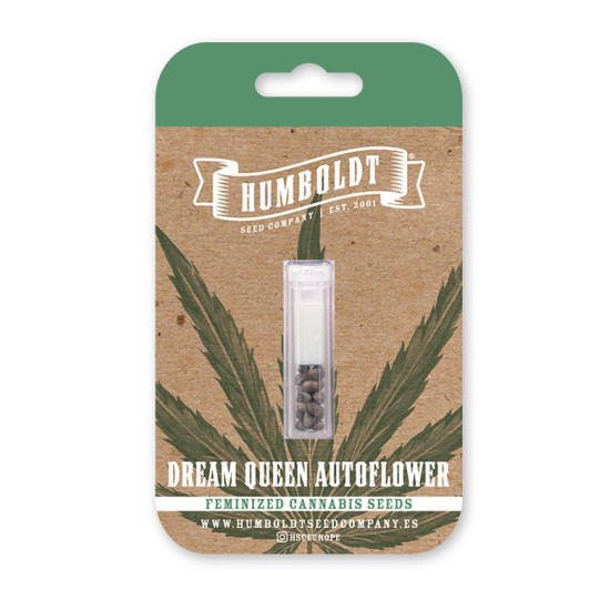 Dream Queen auto autofem (HmbSCo)