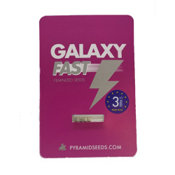 Galaxy Fast fem (Py)