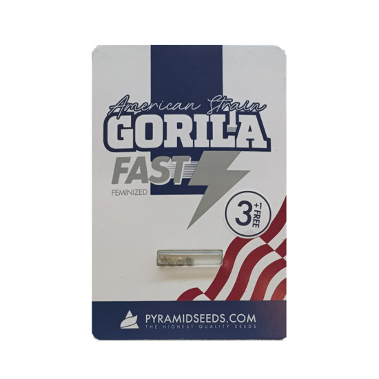 Gorila Fast fem (Py)
