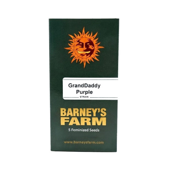 GrandDaddy Purple fem (Brn)