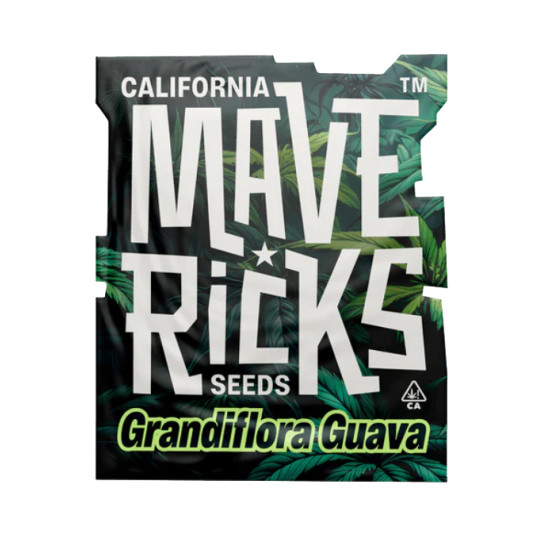 Grandiflora Guava fem (Mvr)