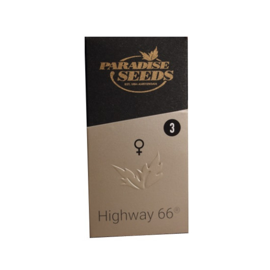 Highway 66 fem (P)