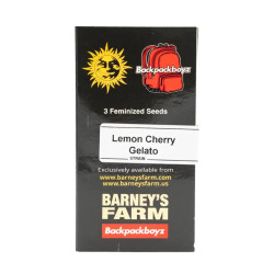 Lemon Cherry Gelato fem (Brn) NEW 2025