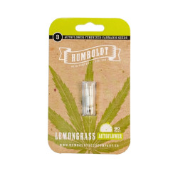 Lemongrass Auto autofem (HmbSC)