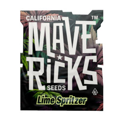 Lime Spritzer auto autofem (Mvr)