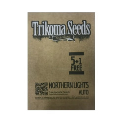 Northern Lights Auto autofem (TrkS)