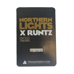 Northern Lights x Runtz fem (Py)