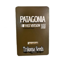 Patagonia fast fast version (TrkS)