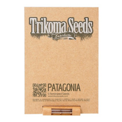 Patagonia fem (TrkS)