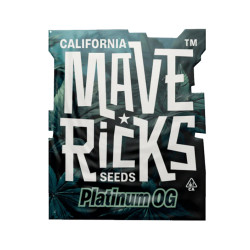 Platinum OG fem (Mvr)