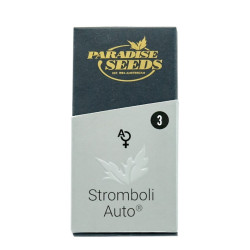 Stromboli auto autofem (P)
