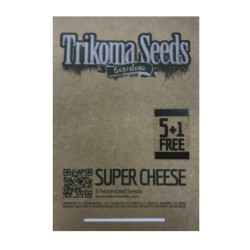 Total Cheese fem (TrkS)