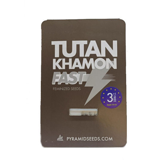 Tutankhamon Fast fem (Py)