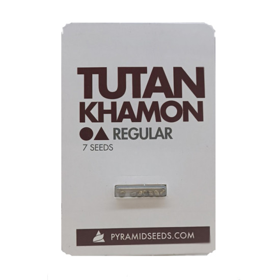 Tutankhamon reg (Py)