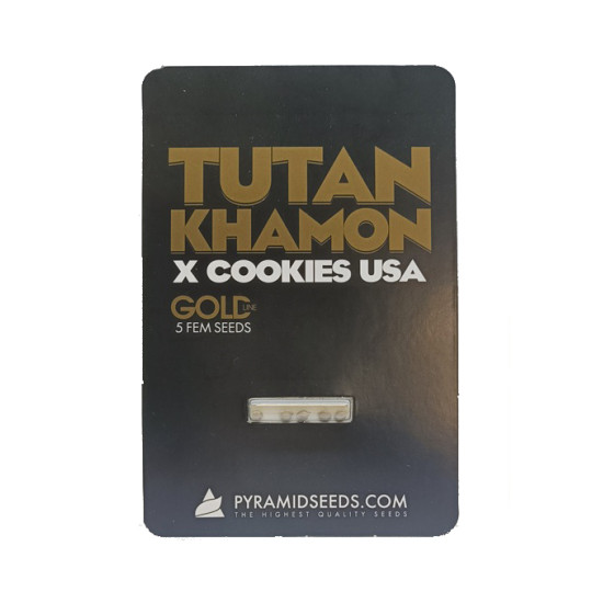 Tutankhamon x Cookies USA fem (Py)
