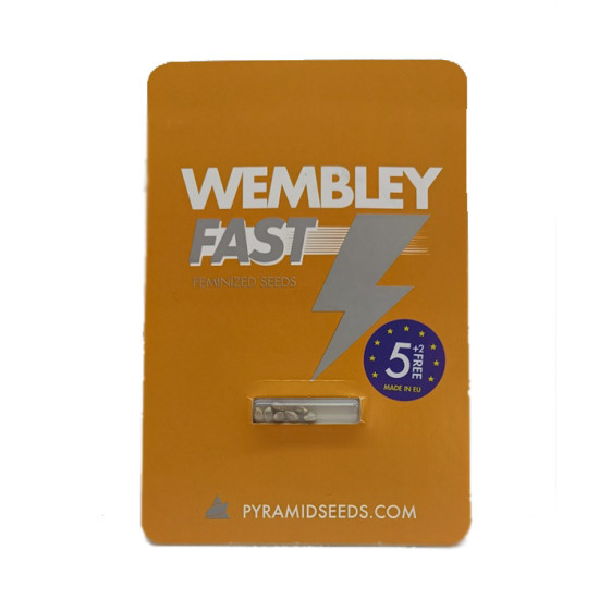 Wembley fast fem (Py)