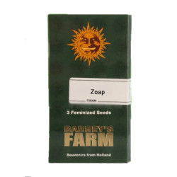 Zoap fem (Brn)