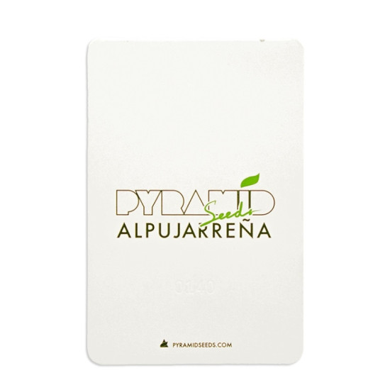 Alpujarreña fem (Py)