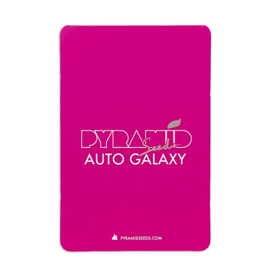 Auto Galaxy autofem (Py)