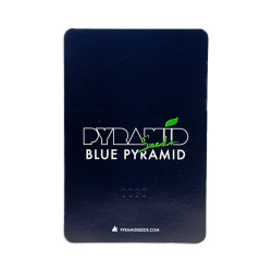 Blue Pyramid fem (Py)