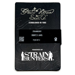 Ztrawberry fem (GHS)