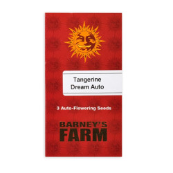 Tangerine Dream auto autofem (Brn)