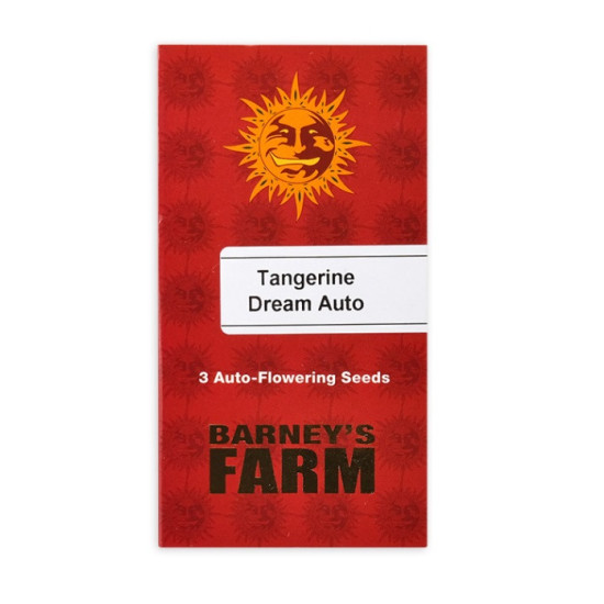 Tangerine Dream auto autofem (Brn)