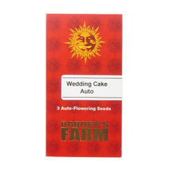 Wedding Cake auto autofem (Brn)